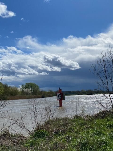 La Saône en crue au printemps, un cormoran posé sur la balise rouge du chenal